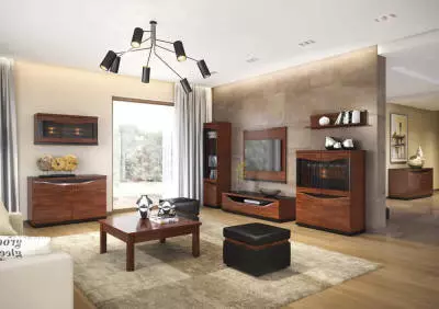 مجموعة فينيزيا